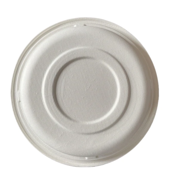 bagasse round bowl disposable packaging